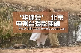 华体会官方首页